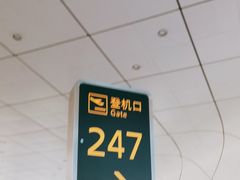 -郑州新郑国际机场-T2航站楼
