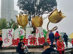 -重庆市江北嘴中央商务区中央公园