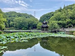 -忠山公园