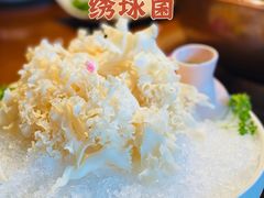 绣球菌-宝泉铜锅·涮羊肉(解放东路店)