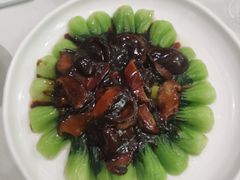 -蝶园·装修中(BFC外滩金融中心店)