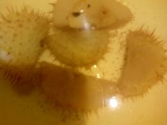 -黔蘑菇四季餐厅(观山湖店)