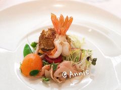 -蝶舍·MAISON PAPILLON