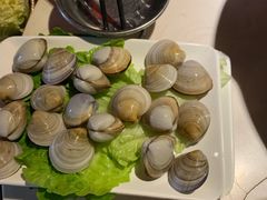 增鲜白蛤-海煮叹鲜·粥底火锅·港式海鲜打边炉(赛银国际广场店)
