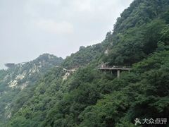 -少华山国家森林公园