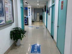 -上海大学附属上海和平眼科医院