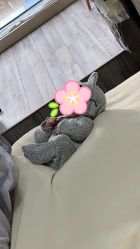 -童年儿童摄影(大连店)