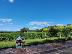 -北京张裕爱斐堡酒庄