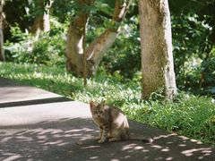 -燕晗山郊野公园