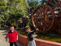 -品德宏·孔雀宴的发源地(金塔园店)