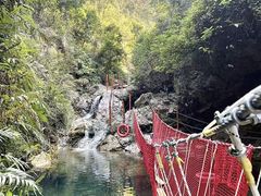 -南海湾森林生态园
