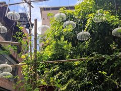 -小洲村