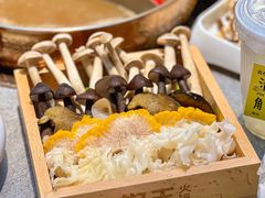 -菌自在·云南野生菌火锅(长安万达店)
