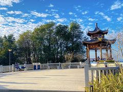 -黄埔油麻山森林公园