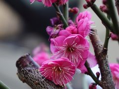 -瓦库茶馆17号(海汇港店)