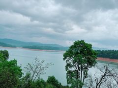 -广州市流溪河国家森林公园