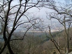 -灵岩山风景区