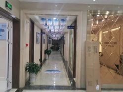 -碧莲盛·不剃发植发