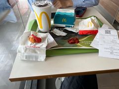 -麦当劳(新新大道岗丰店)