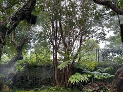 -Chom Cafe and Restaurant