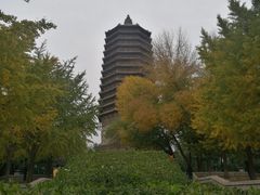 -玲珑塔公园