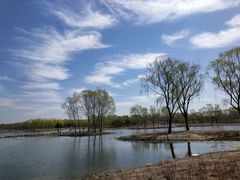 -大兴滨河森林公园