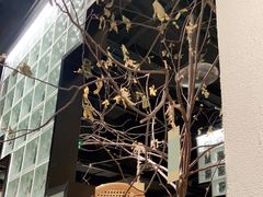 -顾乡私房菜(金沙天街店)