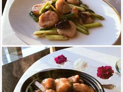 -金轩中餐厅 Jin Xuan(浦东丽思卡尔顿酒店)