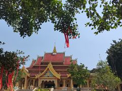 -西双版纳勐泐文化旅游区