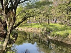 -上海滨江森林公园