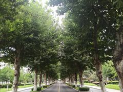-四川大学(望江校区)