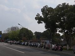 -圩墩遗址公园
