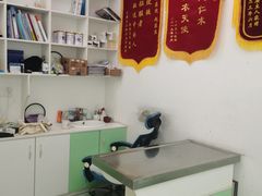 -汪喵宠物医院·骨科心脏影像·犬猫急重症ICU诊疗中心(成华分院)