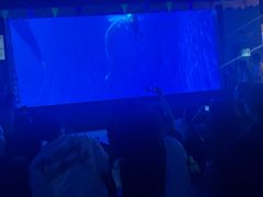 -多彩贵州城极地海洋世界