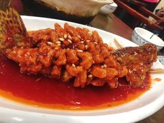 -协和菜馆(凤凰街店)