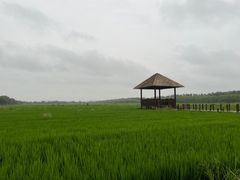 -西青郊野公园