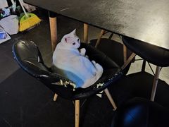 -Doors独立剧情密室(东门分店)