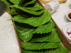 -韩时烤肉(丰科万达广场店)