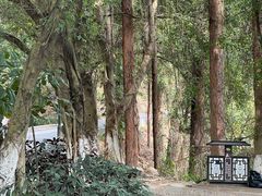 -大雁山风景区