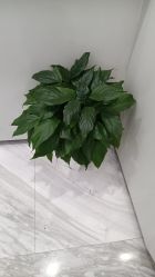 -悟空祛痘·诺奖技术专业店