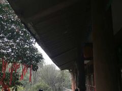 -潜山国家森林公园
