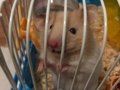 -龟与熊猫宠物公园(南坪店)