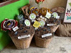 -大象粑粑造纸公园