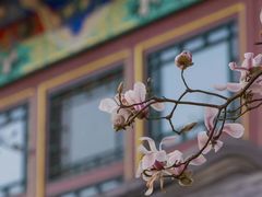 -北京颐和宾馆