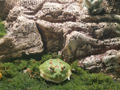 -太平洋海底世界