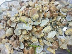 辣炒花蛤-北戴河庆山饭店·海鲜砂锅粥(北戴河黑石路店)