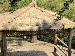 -无染寺