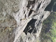 -藏龙百瀑风景区