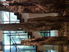 -崇明金茂凯悦酒店.宴会厅