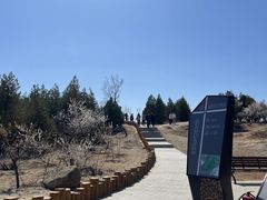 -白水寺森林公园